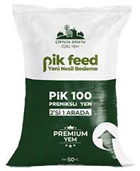 PİK 100