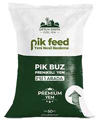 PİK BUZ