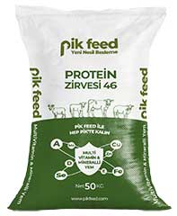 Protein Zirvesi 46