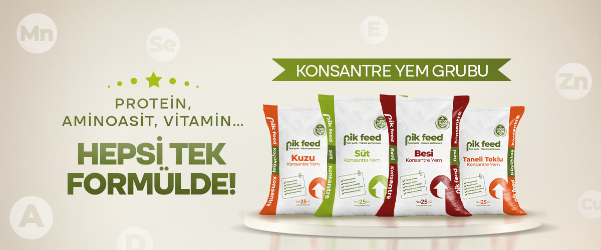 İkinci Slide